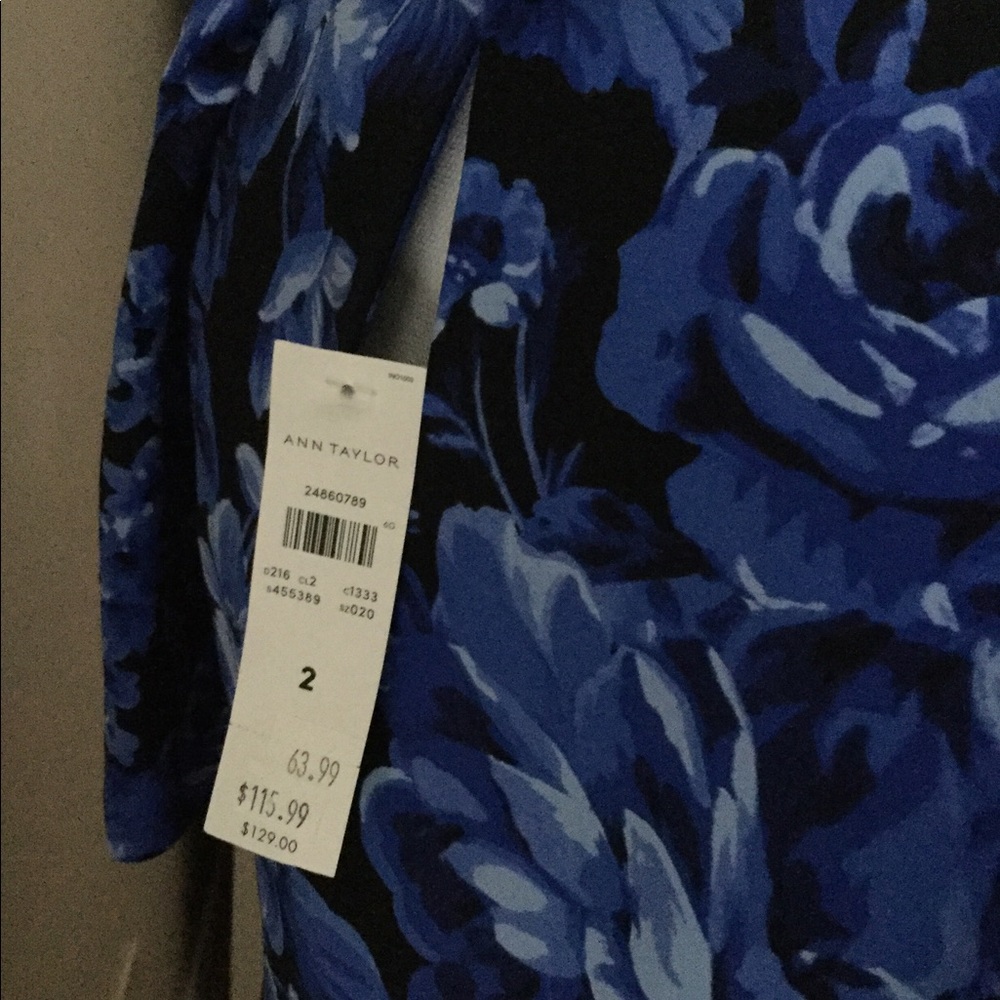 Ann Taylor Dress